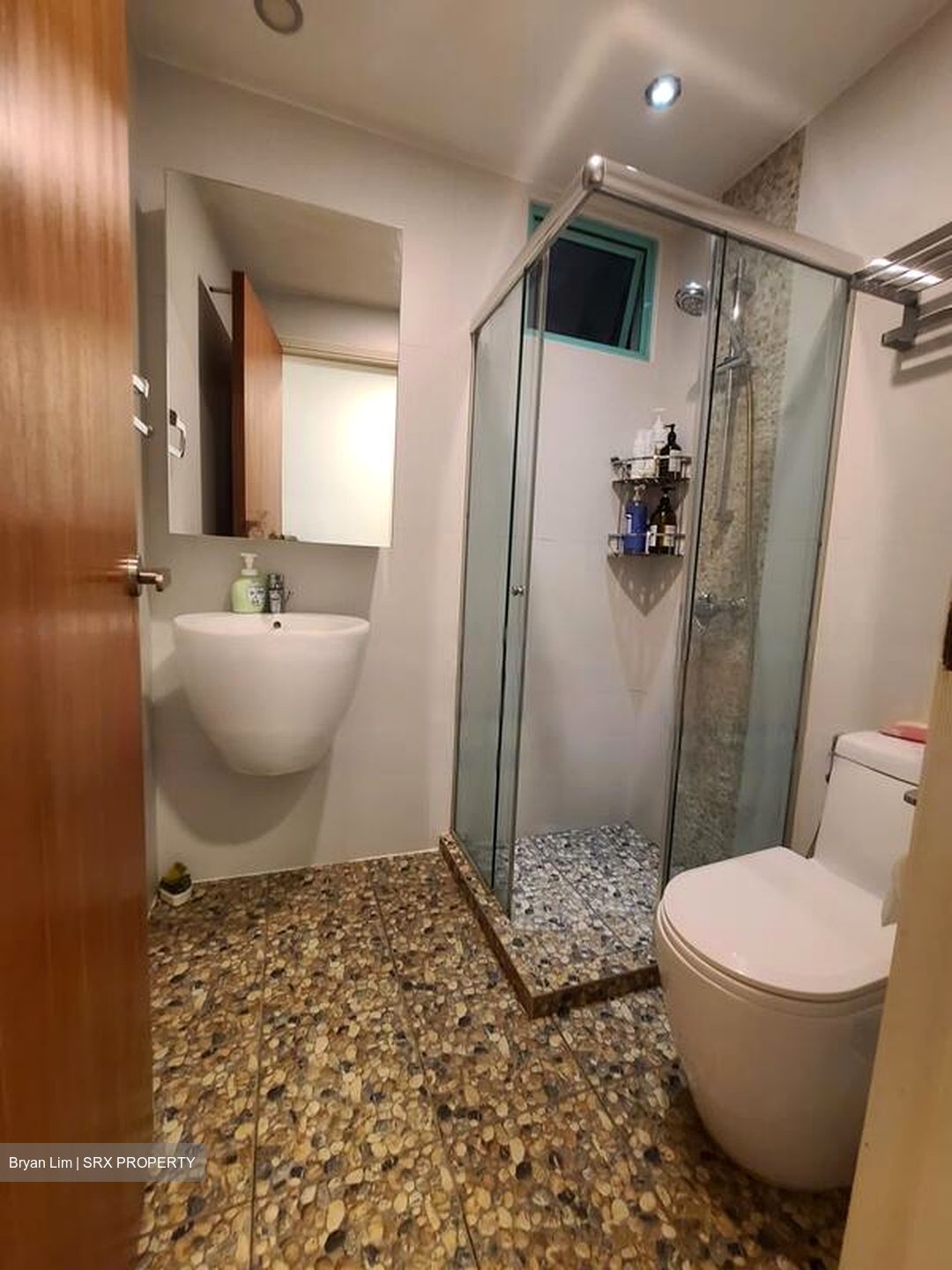 Hazel Park Condominium (D23), Condominium #473752961